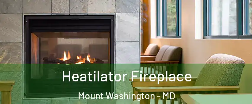 Heatilator Fireplace Mount Washington - MD