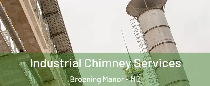 Industrial Chimney Services Broening Manor - MD
