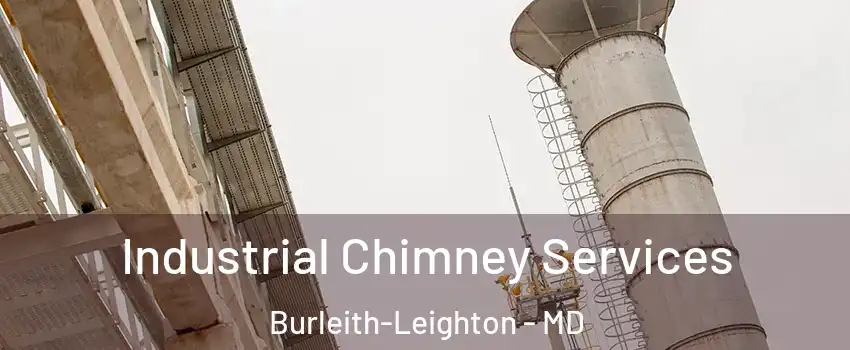 Industrial Chimney Services Burleith-Leighton - MD