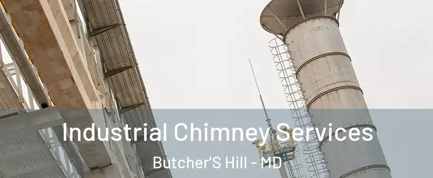 Industrial Chimney Services Butcher'S Hill - MD
