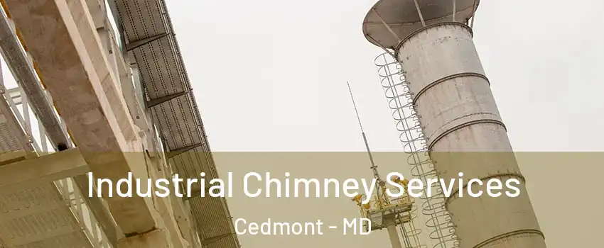Industrial Chimney Services Cedmont - MD