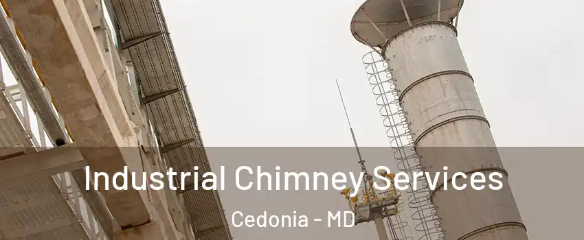 Industrial Chimney Services Cedonia - MD