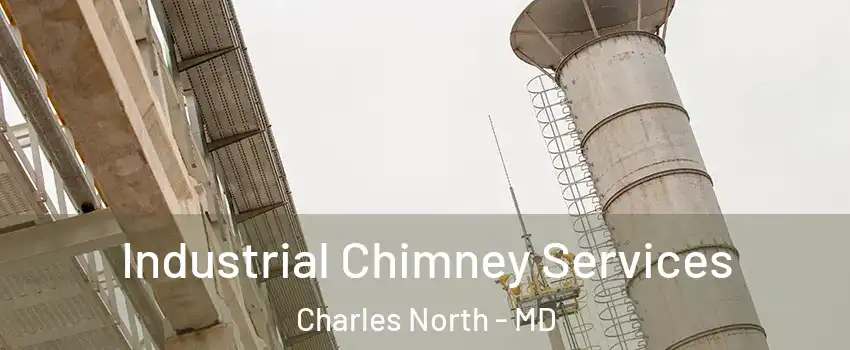 Industrial Chimney Services Charles North - MD