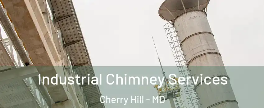 Industrial Chimney Services Cherry Hill - MD