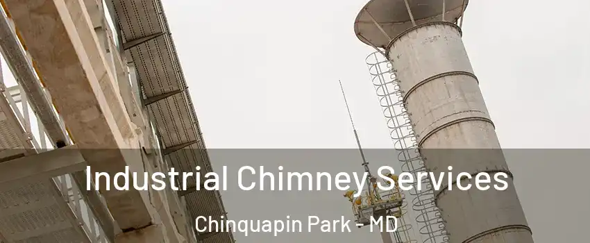 Industrial Chimney Services Chinquapin Park - MD