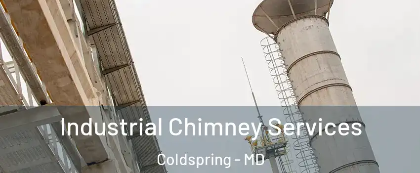 Industrial Chimney Services Coldspring - MD
