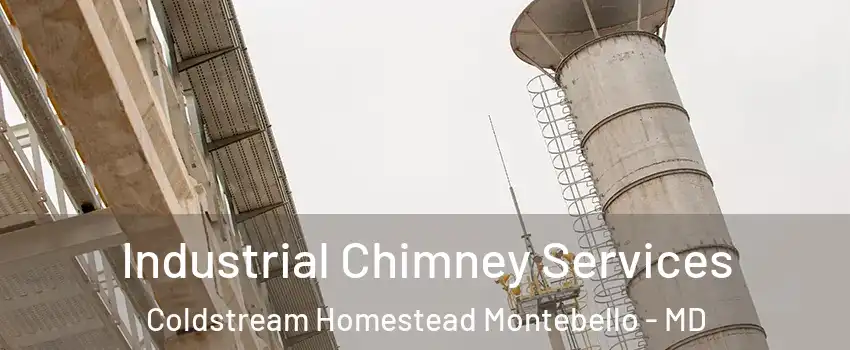 Industrial Chimney Services Coldstream Homestead Montebello - MD