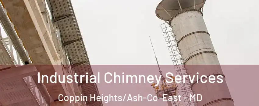 Industrial Chimney Services Coppin Heights/Ash-Co-East - MD
