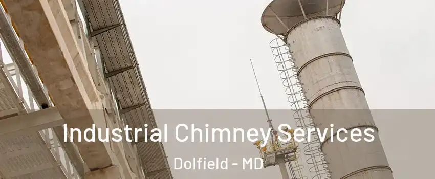 Industrial Chimney Services Dolfield - MD