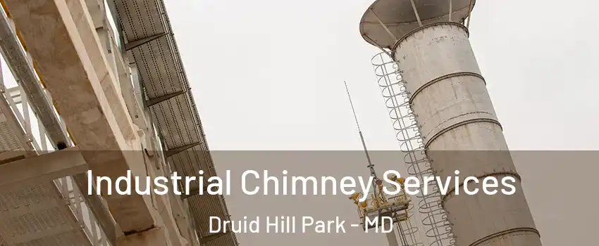 Industrial Chimney Services Druid Hill Park - MD