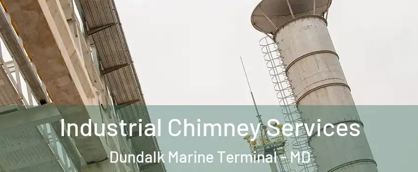 Industrial Chimney Services Dundalk Marine Terminal - MD