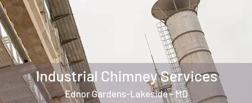 Industrial Chimney Services Ednor Gardens-Lakeside - MD