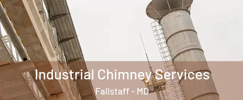 Industrial Chimney Services Fallstaff - MD