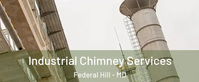 Industrial Chimney Services Federal Hill - MD