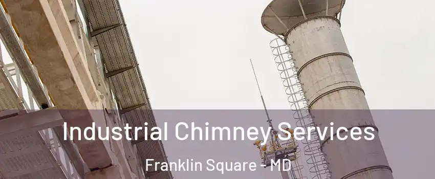 Industrial Chimney Services Franklin Square - MD