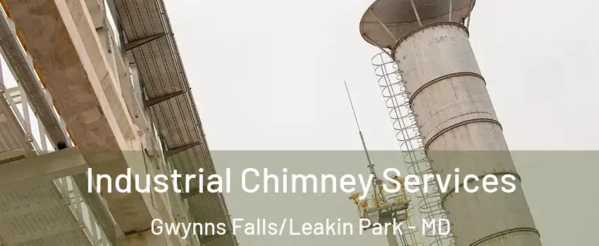 Industrial Chimney Services Gwynns Falls/Leakin Park - MD