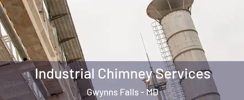 Industrial Chimney Services Gwynns Falls - MD