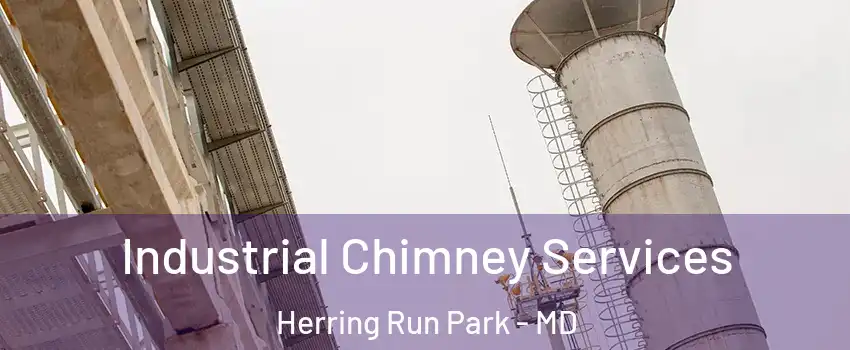 Industrial Chimney Services Herring Run Park - MD