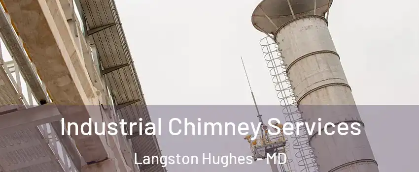 Industrial Chimney Services Langston Hughes - MD