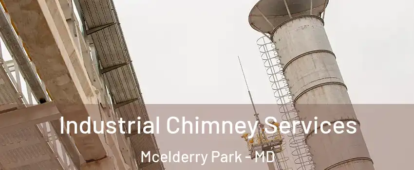 Industrial Chimney Services Mcelderry Park - MD