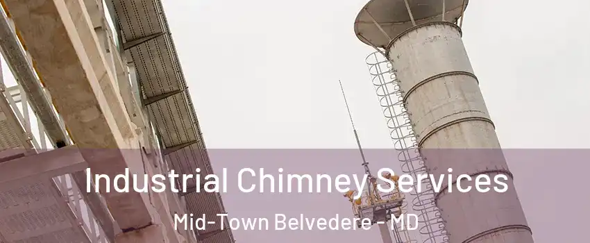 Industrial Chimney Services Mid-Town Belvedere - MD
