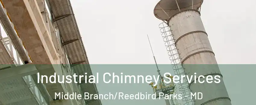 Industrial Chimney Services Middle Branch/Reedbird Parks - MD