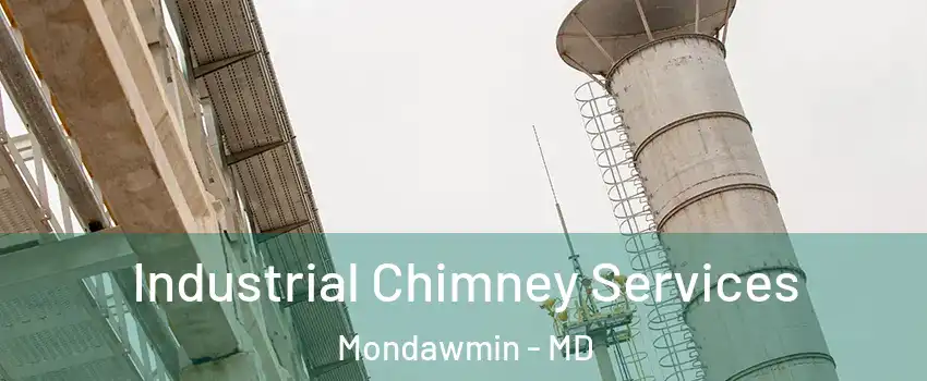 Industrial Chimney Services Mondawmin - MD