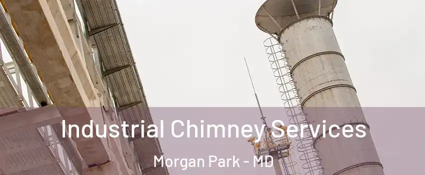 Industrial Chimney Services Morgan Park - MD