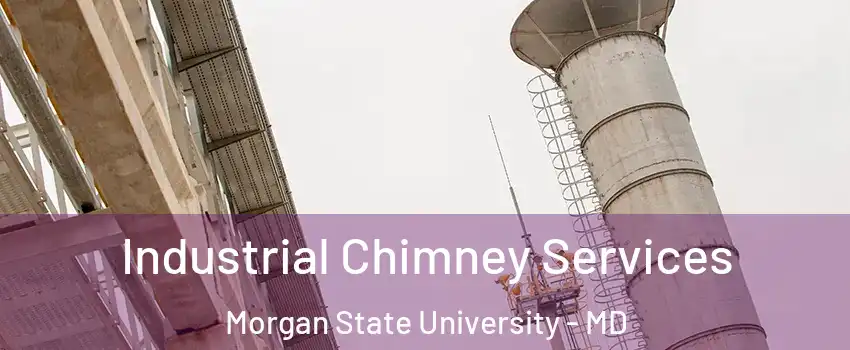 Industrial Chimney Services Morgan State University - MD