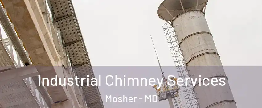 Industrial Chimney Services Mosher - MD