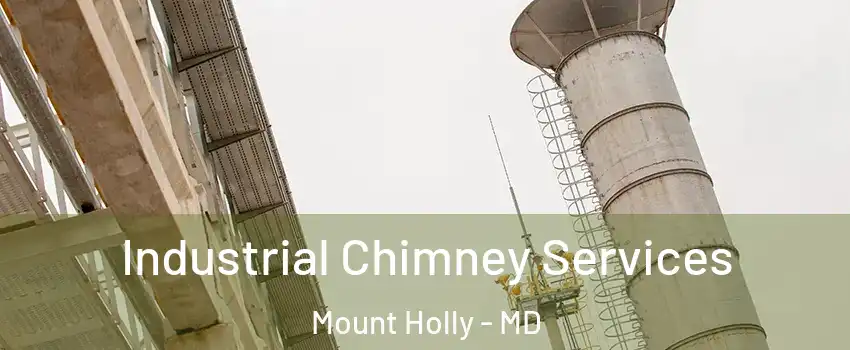 Industrial Chimney Services Mount Holly - MD