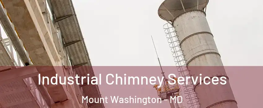Industrial Chimney Services Mount Washington - MD