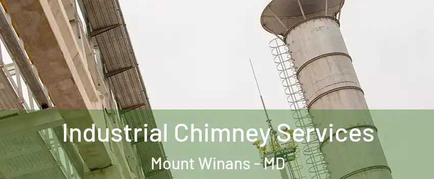 Industrial Chimney Services Mount Winans - MD