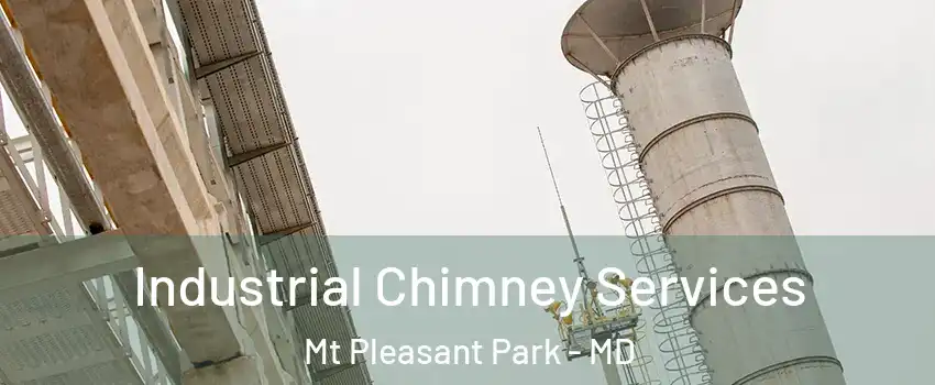 Industrial Chimney Services Mt Pleasant Park - MD