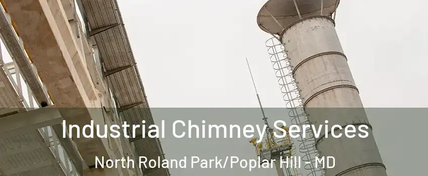 Industrial Chimney Services North Roland Park/Poplar Hill - MD