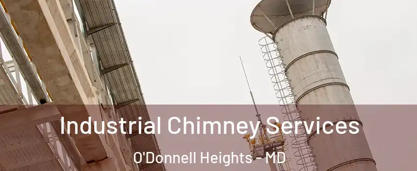 Industrial Chimney Services O'Donnell Heights - MD