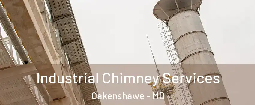Industrial Chimney Services Oakenshawe - MD