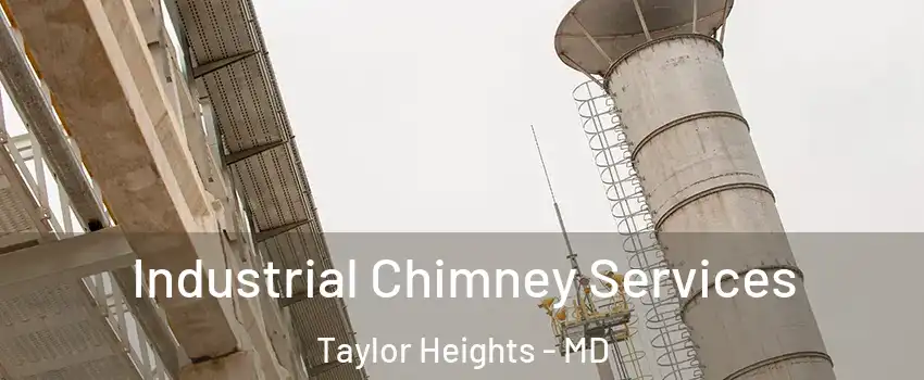 Industrial Chimney Services Taylor Heights - MD