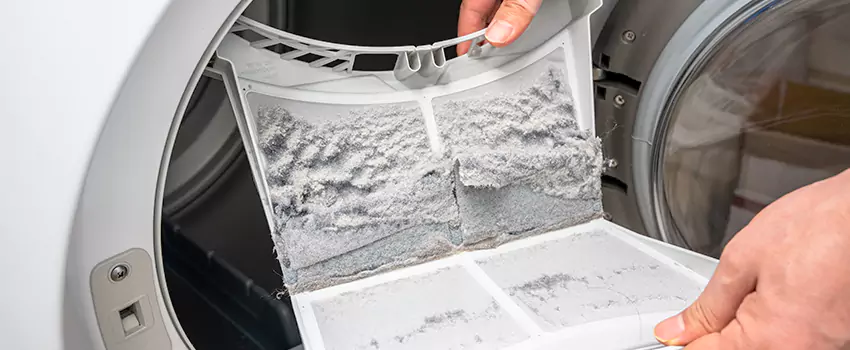 Best Dryer Lint Removal Company in Grove Park, Maryland