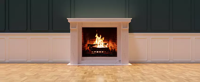 Napoleon Electric Fireplaces Inspection Service in Grove Park, Maryland