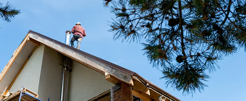 Birds Removal Contractors from Chimney in Carroll - Camden Industrial Area, MD
