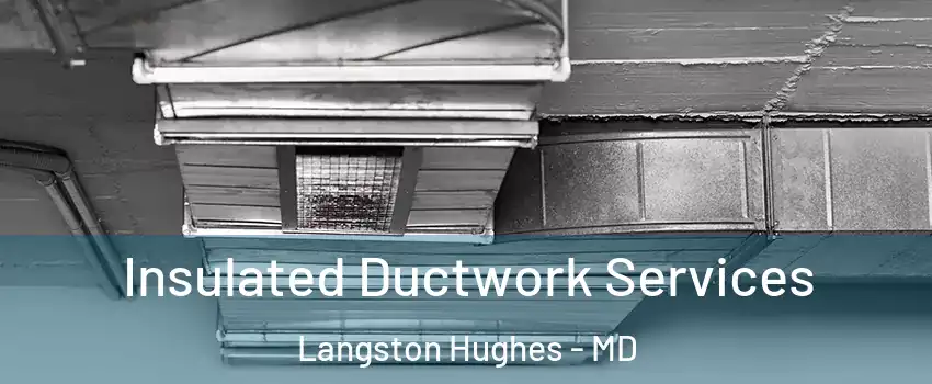 Insulated Ductwork Services Langston Hughes - MD
