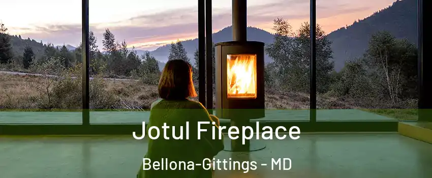 Jotul Fireplace Bellona-Gittings - MD
