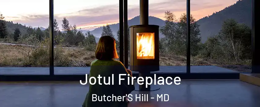 Jotul Fireplace Butcher'S Hill - MD