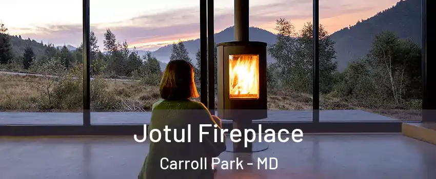 Jotul Fireplace Carroll Park - MD