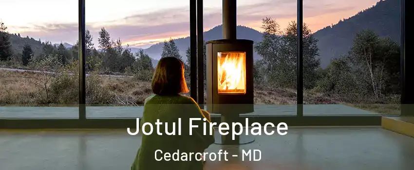 Jotul Fireplace Cedarcroft - MD