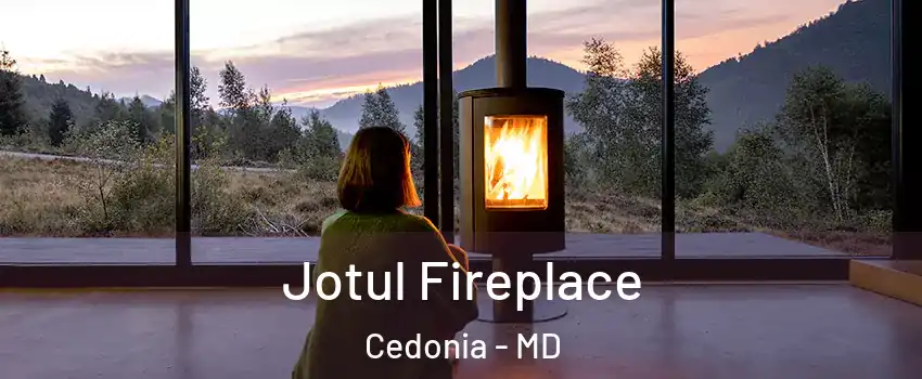 Jotul Fireplace Cedonia - MD