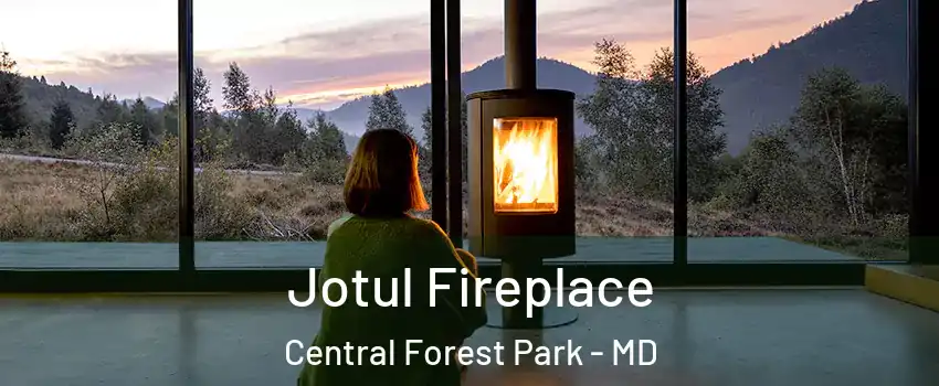 Jotul Fireplace Central Forest Park - MD