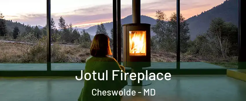 Jotul Fireplace Cheswolde - MD