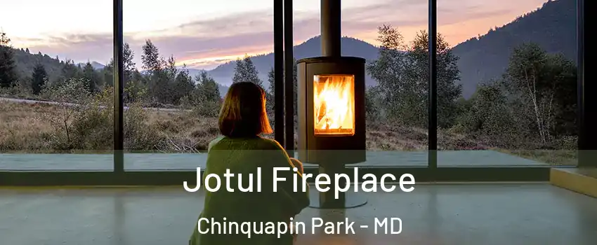 Jotul Fireplace Chinquapin Park - MD